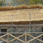 Costruzione tetto con copertura in paglia di segale - Foto arch. EGAP Alpi Marittime 